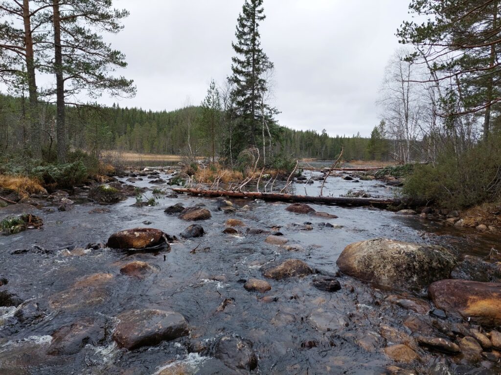A dead tree lies over a stream. In the stream, there are also many rocks and larger stones. The water flow is slow.