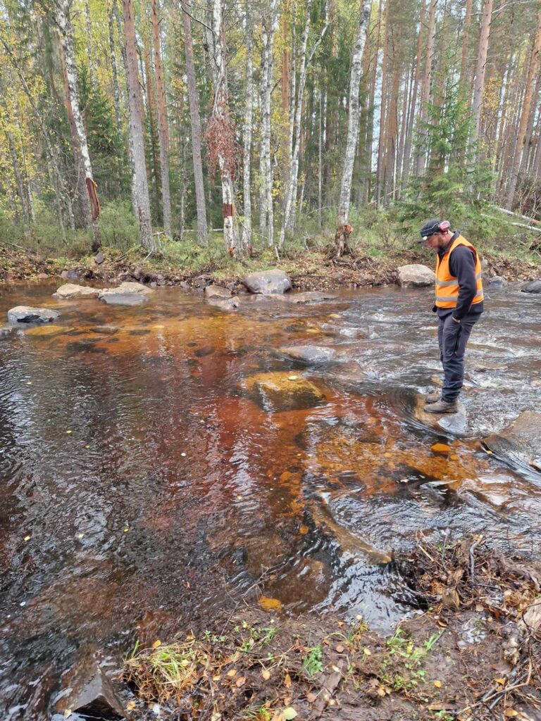 En man står i ett vattendrag och tittar på botten där det ligger lekgrus.