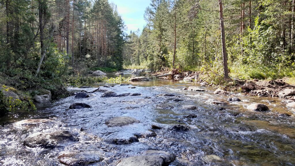 Vattendrag med mycket block och sten.