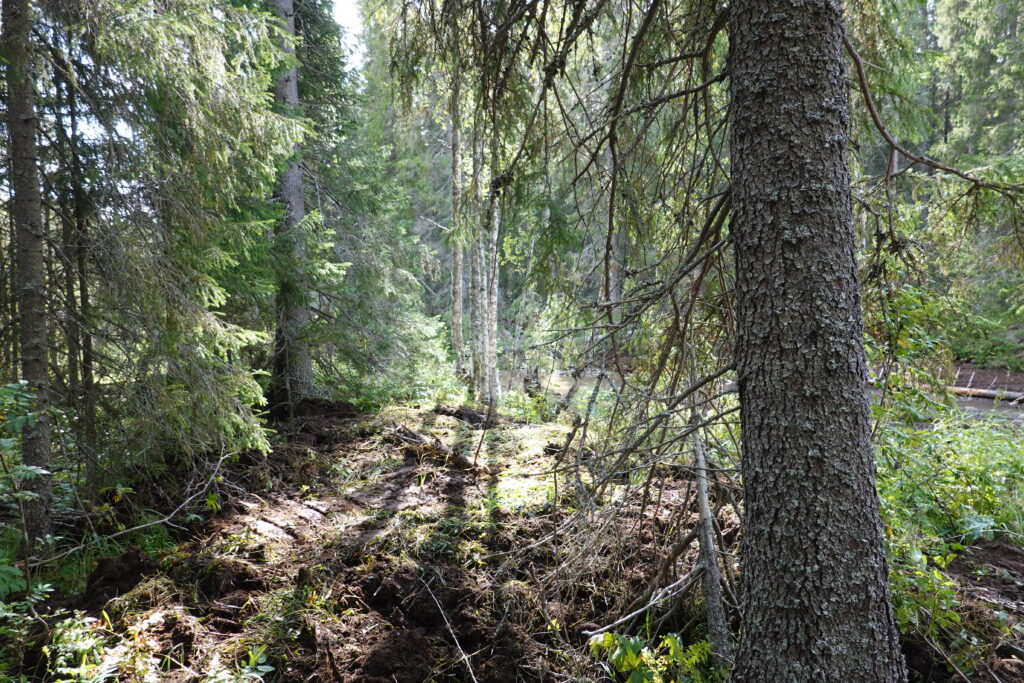 Tillrättalagd mark