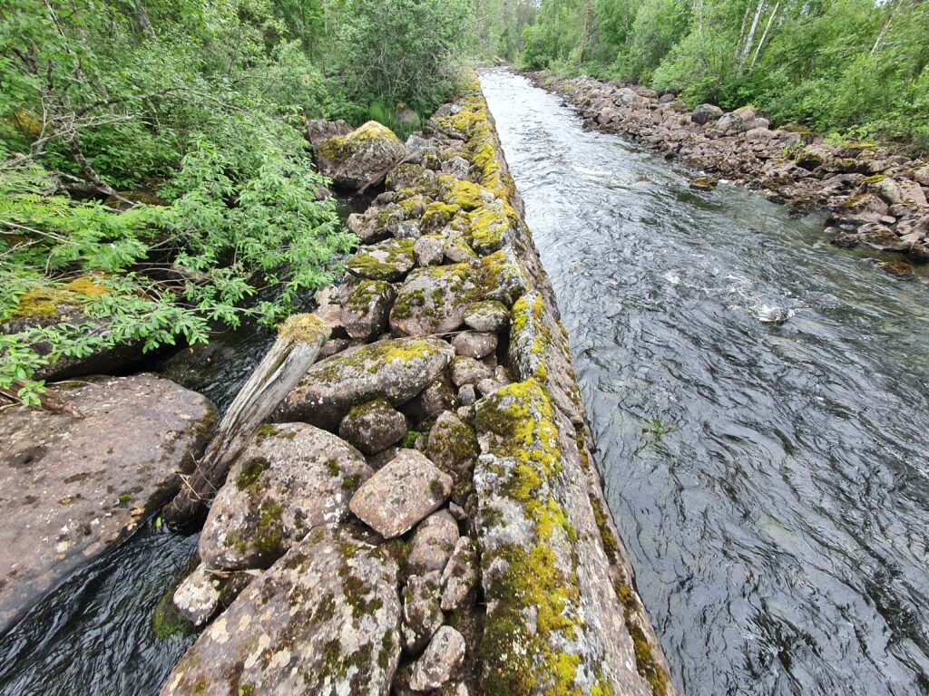 Mur och stenvall.