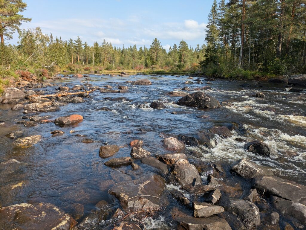 Watercourse with a lot of boulders and stones.