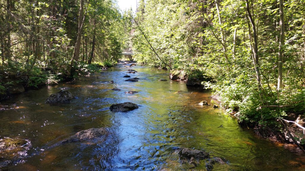 Watercourse with a few larger boulders.